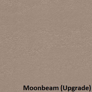 14-moonbeam
